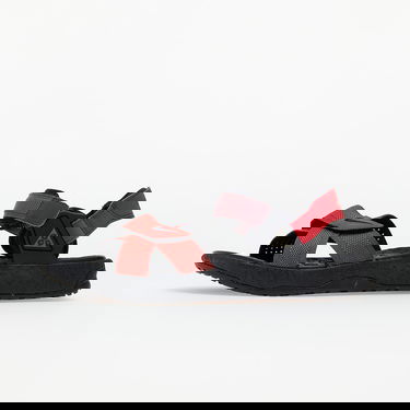 Sneakers og sko Nike ACG Air Deschutz Rød | DC9092-600, 0