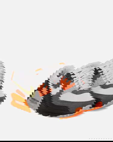 Sneakers og sko Nike Air Max 90 Flerfarvet | DM0029-018, 2