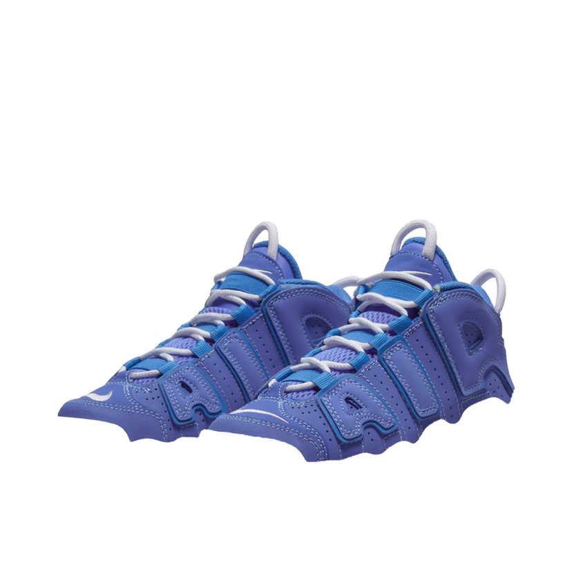 Sneakers og sko Nike Air More Uptempo Lilla | DM1026-400